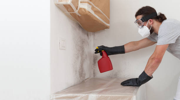 Professional Bathroom Mold Removal technician working in Dickerson, MD